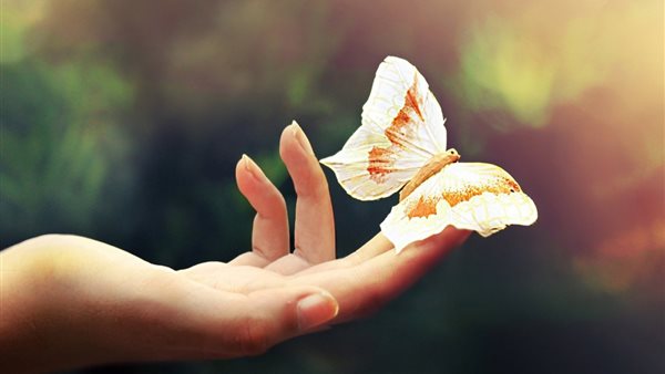 Beauty of Serendipity